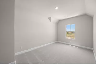 404 Brahman Lane, Midlothian, TX 76065 - Photo 19