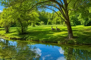 [Address not provided], Farmers Branch, TX 75234 - Photo 39