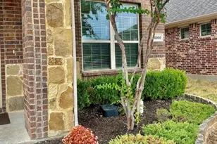 4001 Muscadine Dr, McKinney, TX 75071 - Photo 3