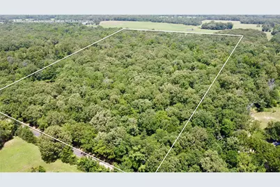 Tract 3 Cr 44400, Powderly, TX 75473 - Photo 3
