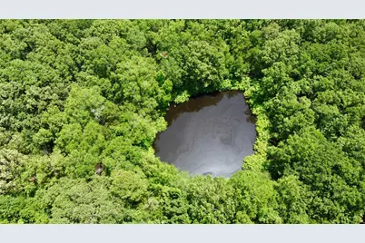 Tract 3 Cr 44400, Powderly, TX 75473 - Photo 5