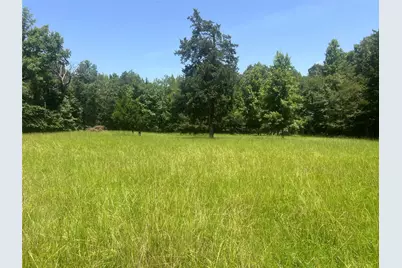 Tract 4 Cr 44400, Powderly, TX 75473 - Photo 5