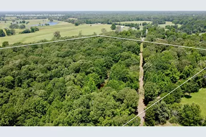 Tract 5 Cr 44400, Powderly, TX 75473 - Photo 5