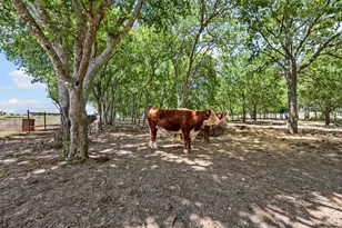 1216 W Rd, Waxahachie, TX 75165 - Photo 29