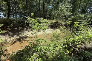 288 Co Rd 4430, Whitewright, TX 75491 - Photo 15