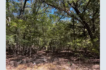 6070 County Road 4068, Kemp, TX 75143 - Photo 33