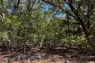 6070 Co Rd 4068, Kemp, TX 75143 - Photo 33