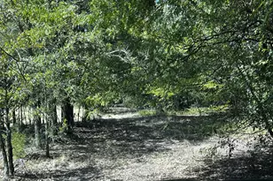 6070 Co Rd 4068, Kemp, TX 75143 - Photo 35