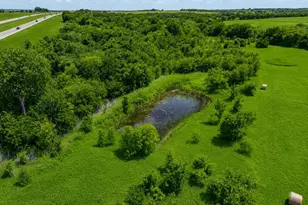 548 Hill County Road 4149, Grandview, TX 76050 - Photo 15