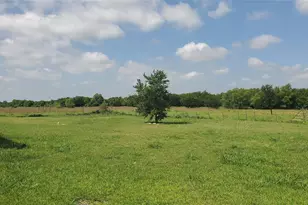1656 County Rd 697, Farmersville, TX 75442 - Photo 31