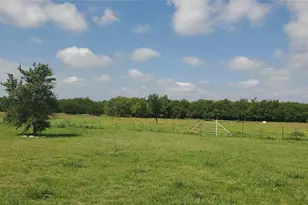 1656 County Rd 697, Farmersville, TX 75442 - Photo 33