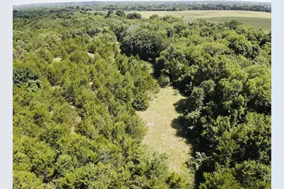000 Cr 27300, Roxton, TX 75477 - Photo 3