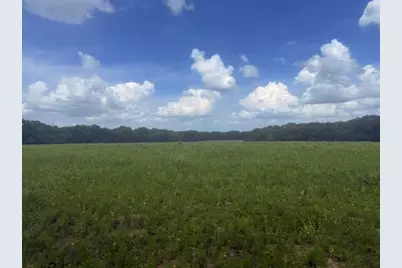 5767 Fm 2339, Murchison, TX 75778 - Photo 23