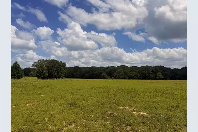 5767 Fm 2339, Murchison, TX 75778 - Photo 13