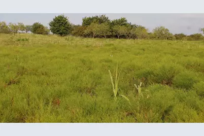 Tbd Lot 3 & 4 Alsdorf Road, Ennis, TX 75119 - Photo 13