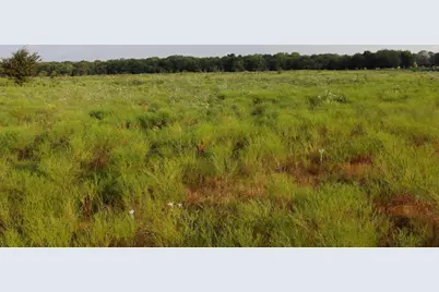 Tbd Lot 3 & 4 Alsdorf Road, Ennis, TX 75119 - Photo 15