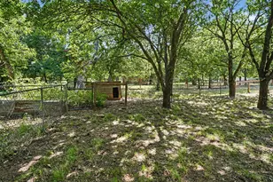 4225 Fm 2415, Coyote Flats, TX 76009 - Photo 35