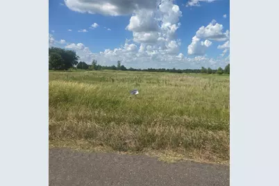 Lot #10 Blueberry Hill Road, Greenville, TX 75401 - Photo 3