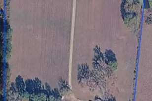 3952 FM451, Waskom, TX 75692 - Photo 31