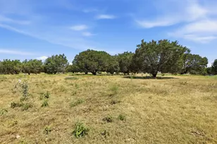 9132 Windmill Ct W, Cleburne, TX 76033 - Photo 39