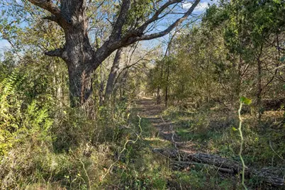10723 County Road 539, Hico, TX 76457 - Photo 7