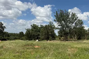 1173 Gonzollas Rd, Springtown, TX 76082 - Photo 1