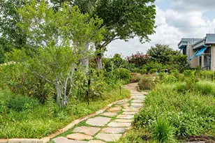 919 Harrell Rd, Howe, TX 75459 - Photo 15