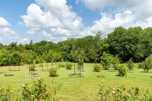 919 Harrell Rd, Howe, TX 75459 - Photo 39