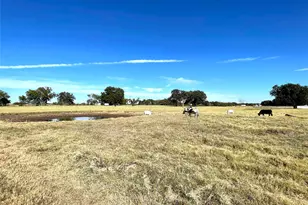 432 William Brewer Rd, Collinsville, TX 76721 - Photo 9