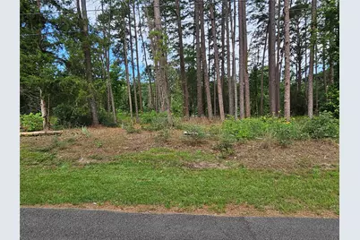 Tbd Green Meadow Trail, Holly Lake Ranch, TX 75765 - Photo 13