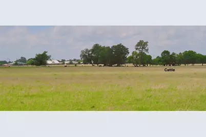 Tract-10 E Hwy 56, Honey Grove, TX 75446 - Photo 11