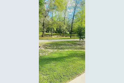 128 County Road 3540, Woodville, TX 75979 - Photo 9