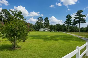 10038 County Road 313, Tyler, TX 75706 - Photo 33