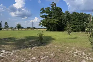 10038 County Road 313, Tyler, TX 75706 - Photo 37