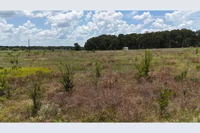 Lot 7 NE County Road 3040, Kerens, TX 75144 - Photo 5