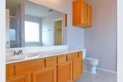 1508 Sequoia Grove Lane, Lewisville, TX 75067 - Photo 21