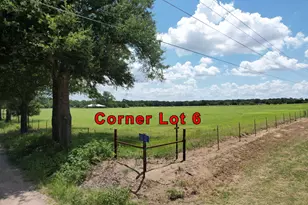 Lot 6 Vz County Road 3208, Wills Point, TX 75169 - Photo 1