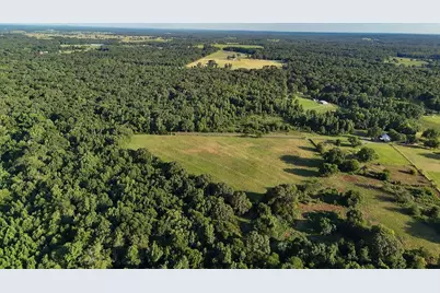 753 County Road 4390, Winnsboro, TX 75494 - Photo 7