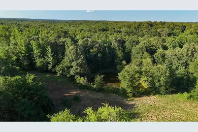 753 County Road 4390, Winnsboro, TX 75494 - Photo 3