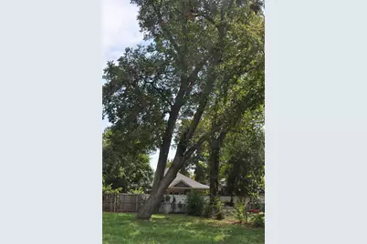 3520 Carl Street, Dallas, TX 75210 - Photo 9