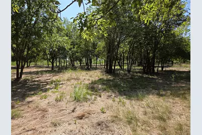 Lot 5-R4 SW County Road, Corsicana, TX 75110 - Photo 3