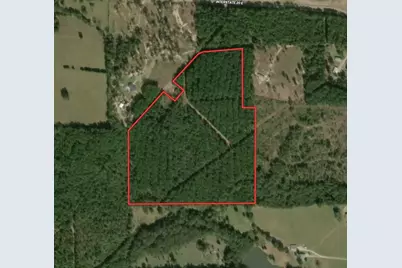 Tbd 42 Acres Cr 3116, Winona, TX 75792 - Photo 1