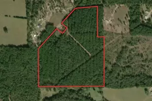 Tbd 42 Acres Cr 3116, Winona, TX 75792 - Photo 1
