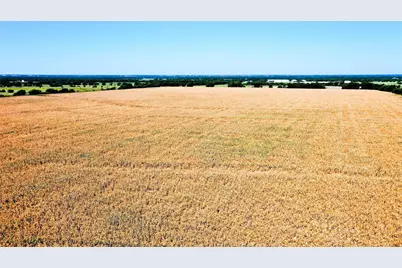 Tbd Cr 4702, Commerce, TX 75428 - Photo 7