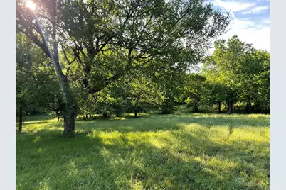 310 Thorn Ridge Drive, Kerens, TX 75144 - Photo 5