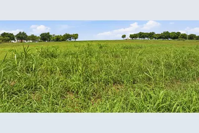 7005 Cr-302, Grandview, TX 76050 - Photo 3