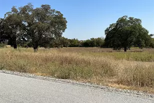 1010 Gonzollas Rd, Springtown, TX 76082 - Photo 1