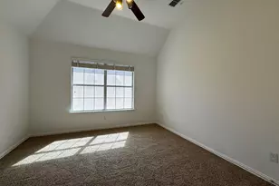 3780 Navarro Way, Frisco, TX 75034 - Photo 19