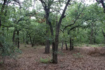 1309 County Road 1895, Sunset, TX 76270 - Photo 33