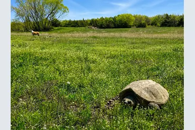 Tract C2-1 County Road 1140, Celeste, TX 75423 - Photo 7